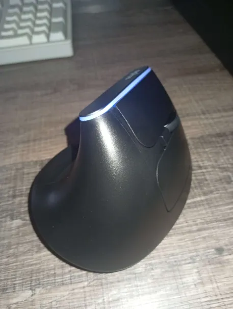 mouse